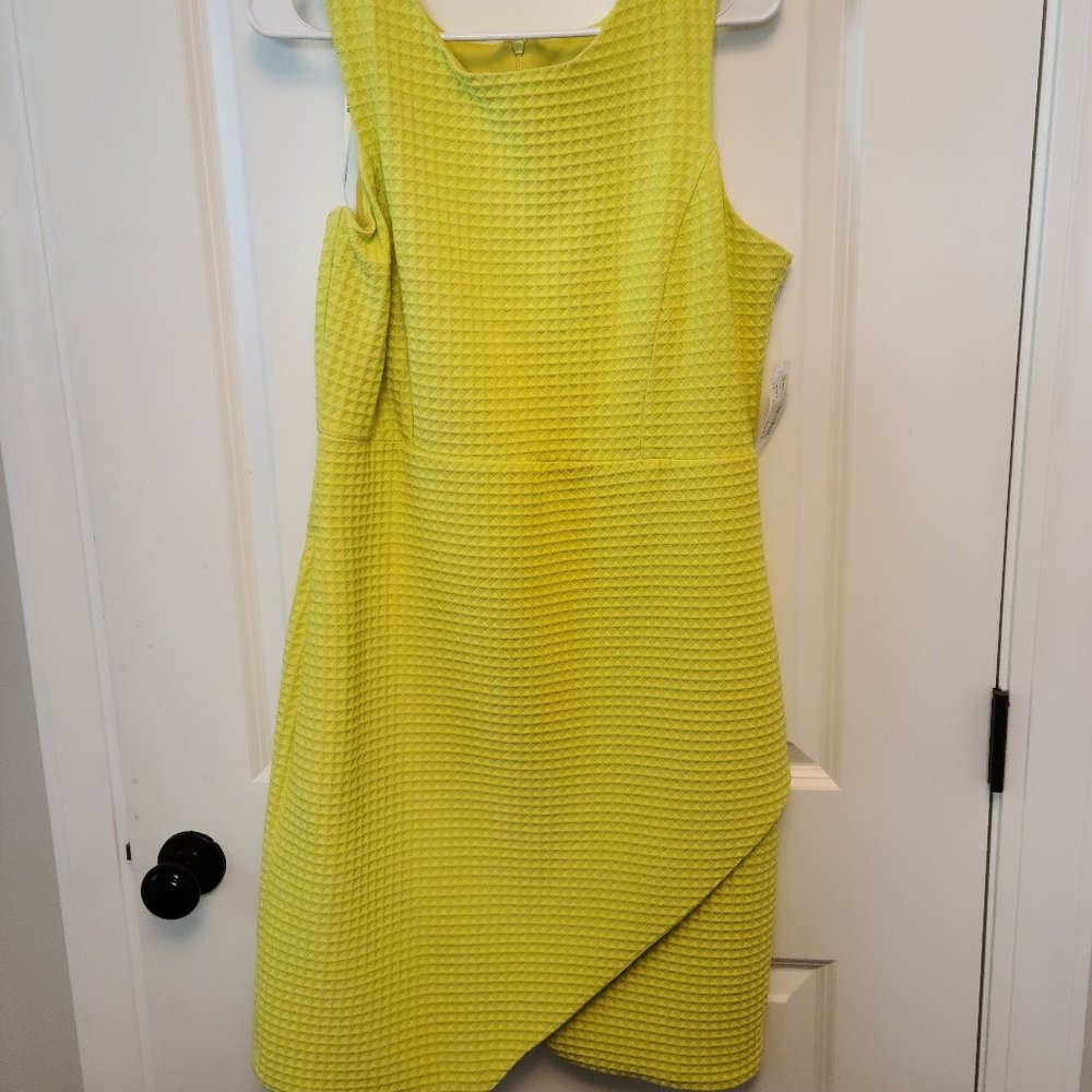 Frank Lyman Design Dress - Citrus